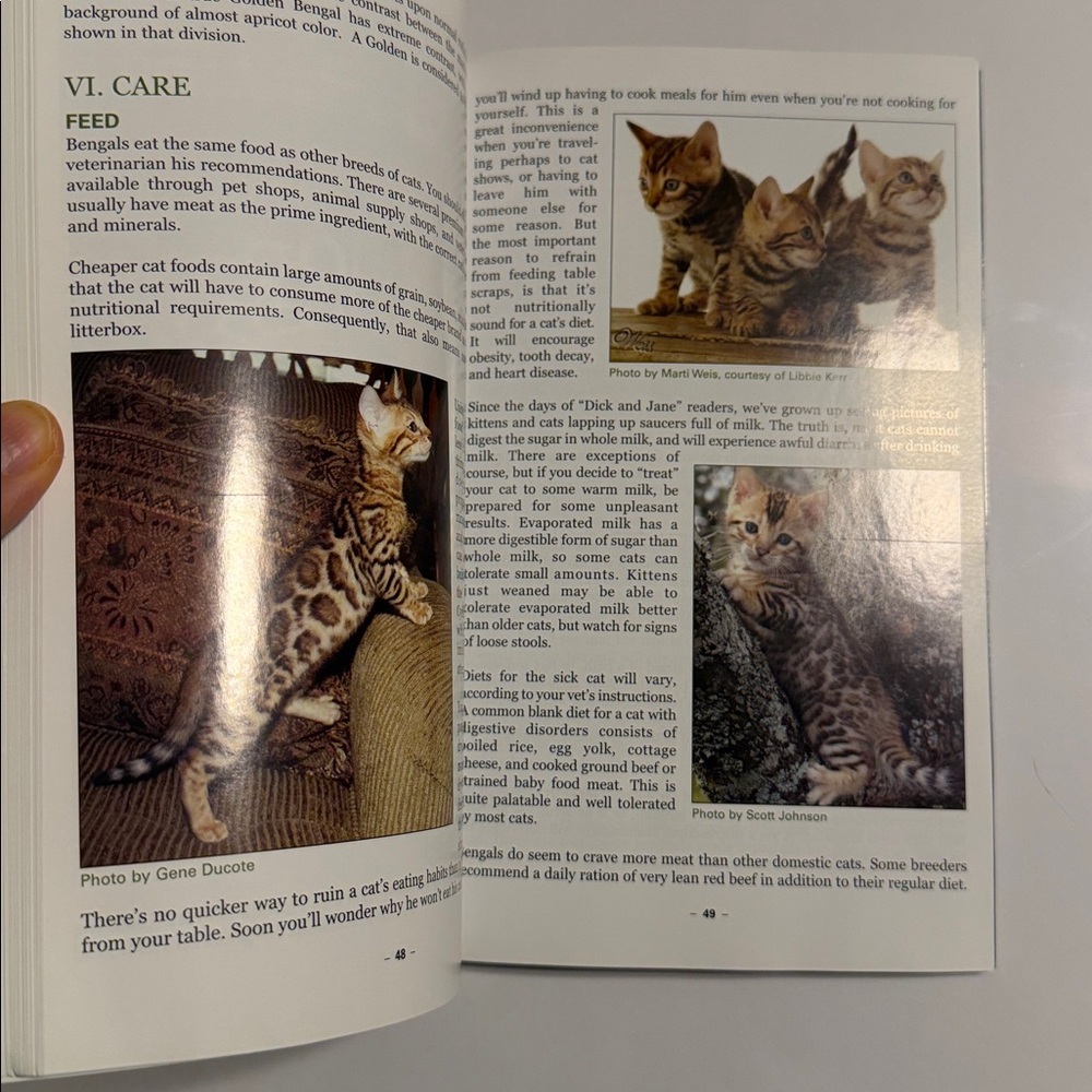Gene Ducote. Getting to Know the Bengal Cat Book - Picture 3 of 4